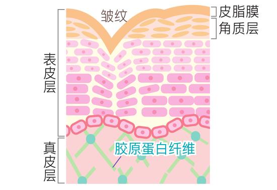 w700d1q75cms (2).jpg