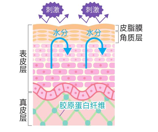 w700d1q75cms (6).jpg