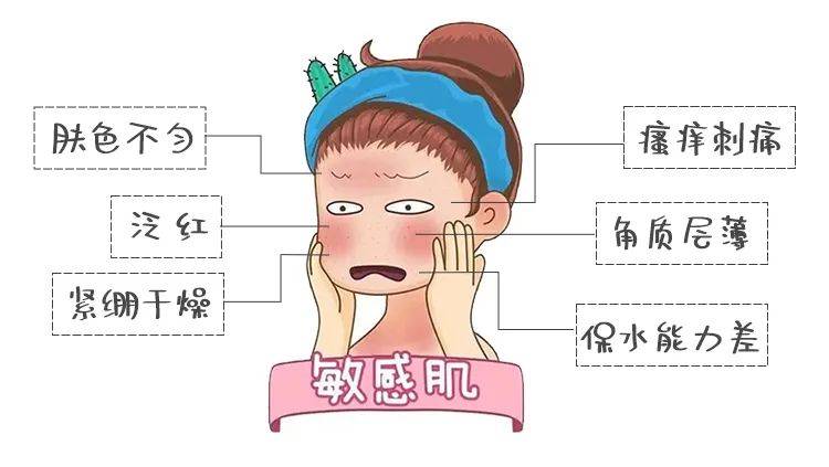 1772086869794103.jpeg 3dd744d5d93ed8a3f3ac2d87bf7786c2.jpeg